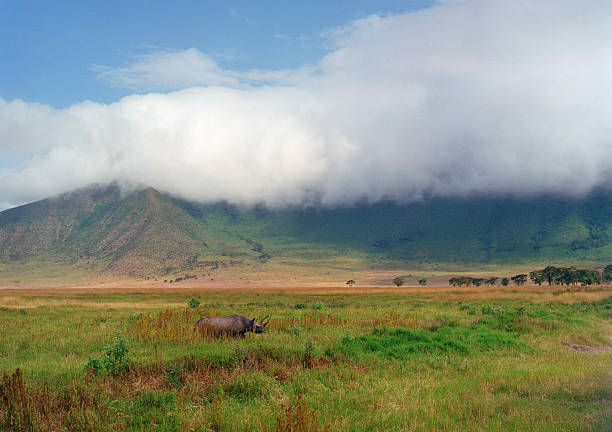 Tanzania image: Ngorongoro 1